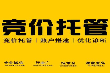 sem代运营机构经典案例：提升广告投放效果